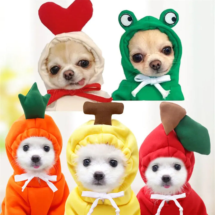 Fruit Pet Coat Hoodies