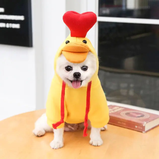 Fruit Pet Coat Hoodies