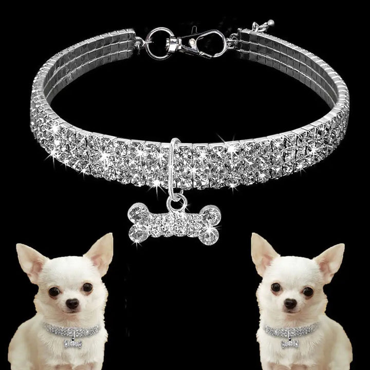 Collar para mascotas